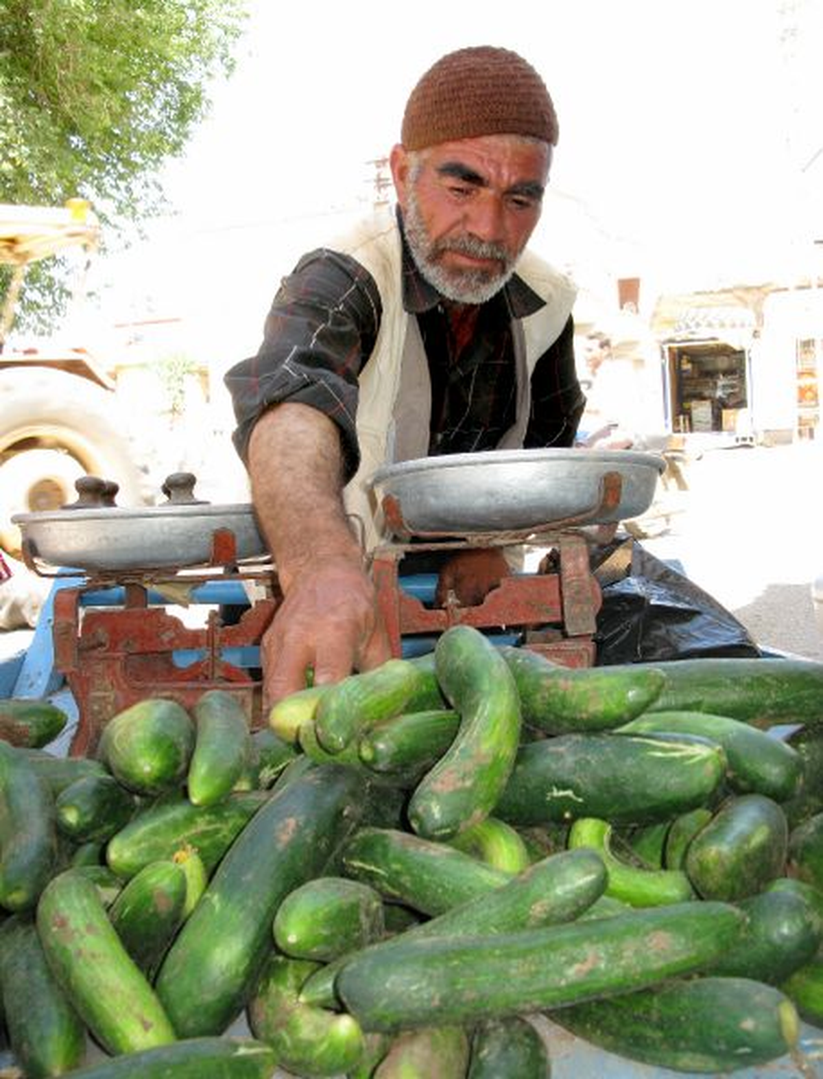 Araban'da Yetişen Hormonsuz Salatalıklar Yok Satıyor