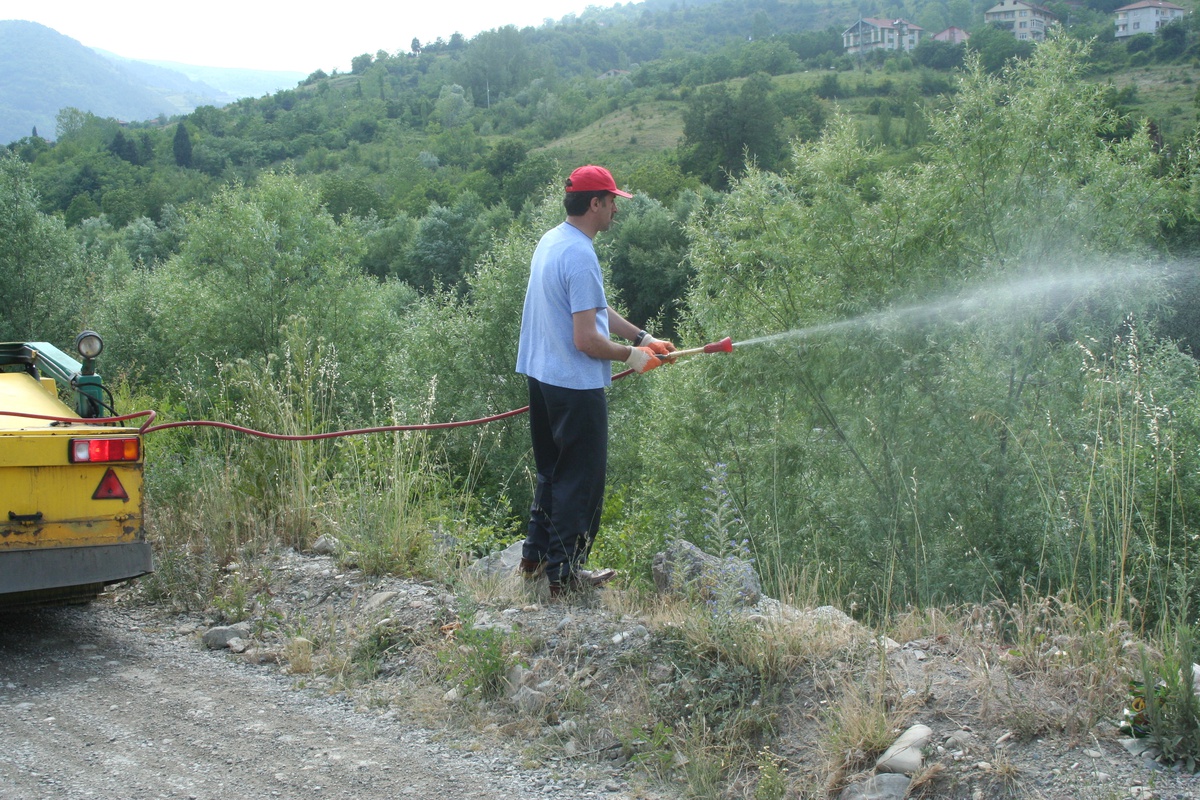 Belediye Kenelere Karşı İlaçlama Başlattı