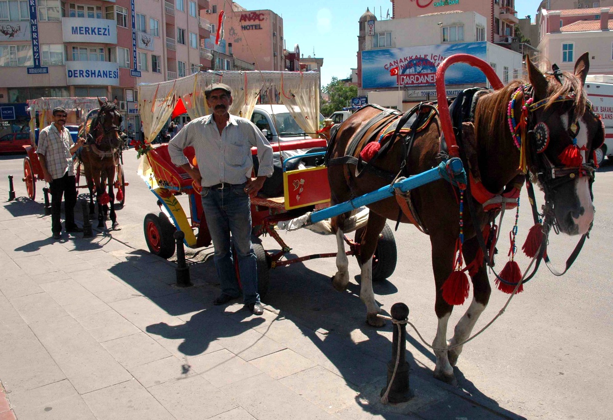 Çanakkale'de Fayton Sefası