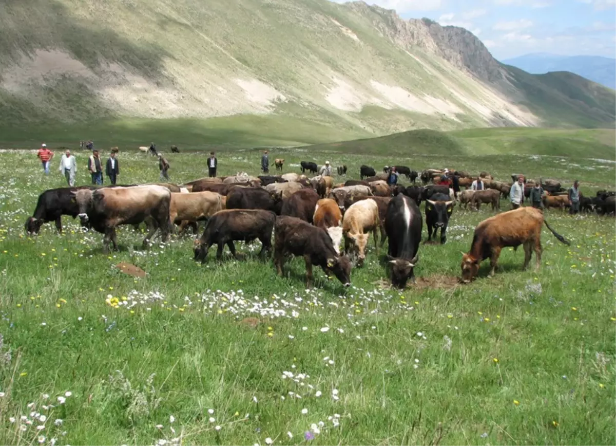 Erzurum\'da Mera Açılışı...