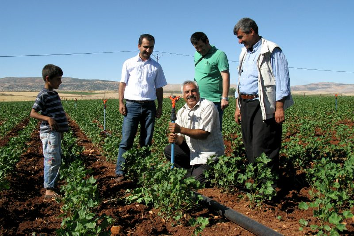 Arabanlı Çiftçiler Yağmurlama ve Damlama Sulamaya Yöneliyor