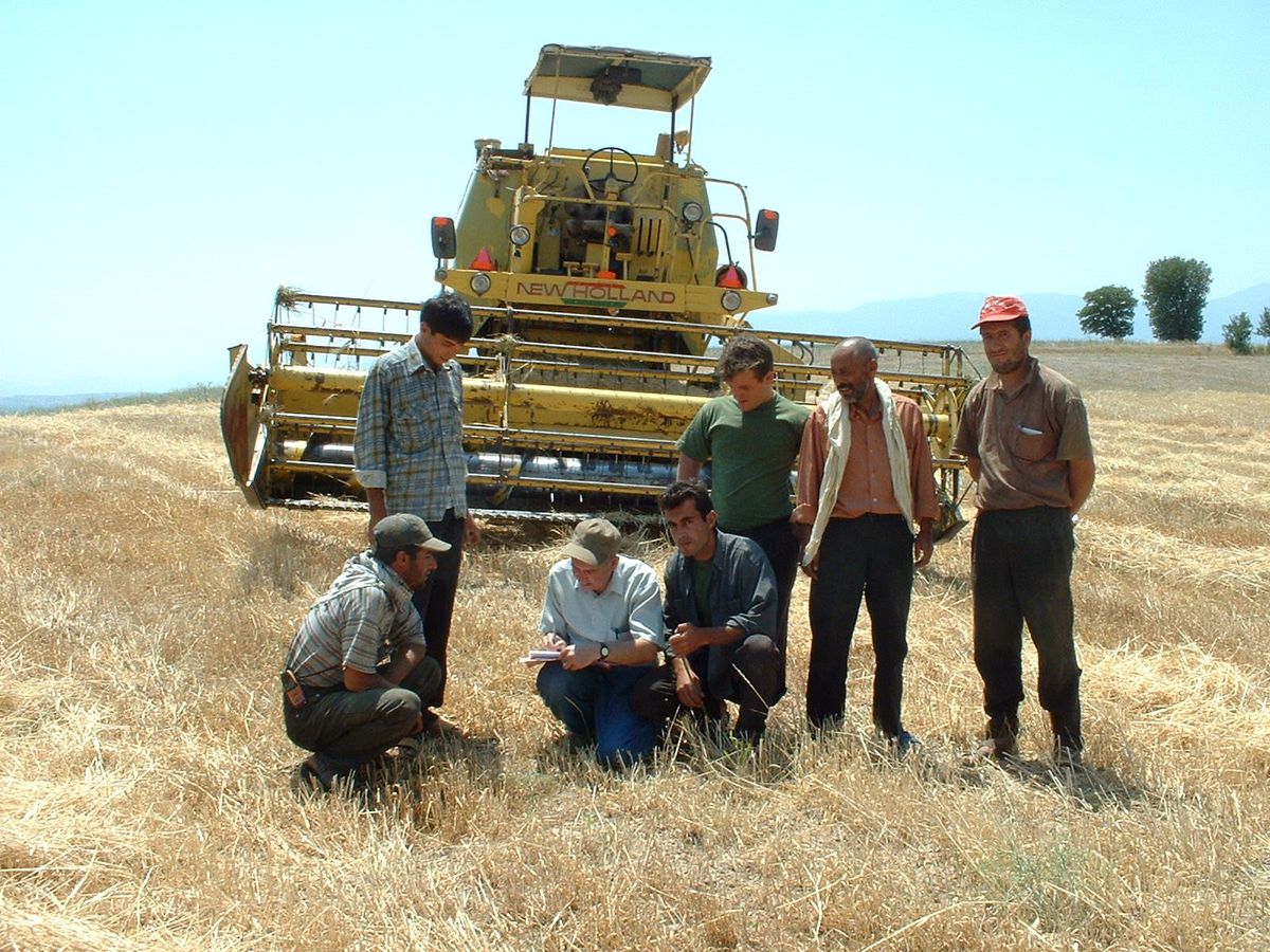 Manisal'da, Hububat Üretiminde İyi Sezon