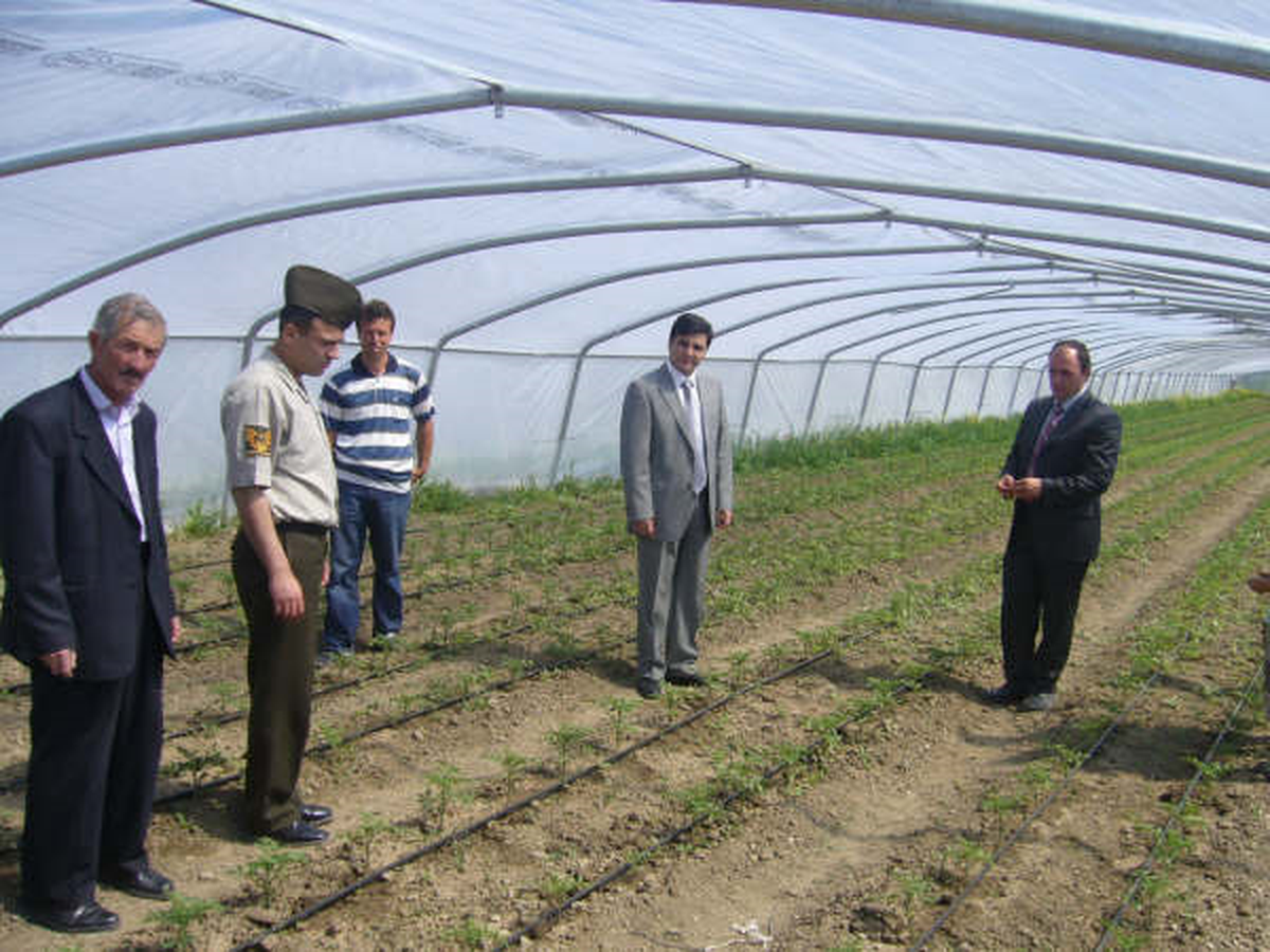 Kaymakam'dan Seralara İnceleme