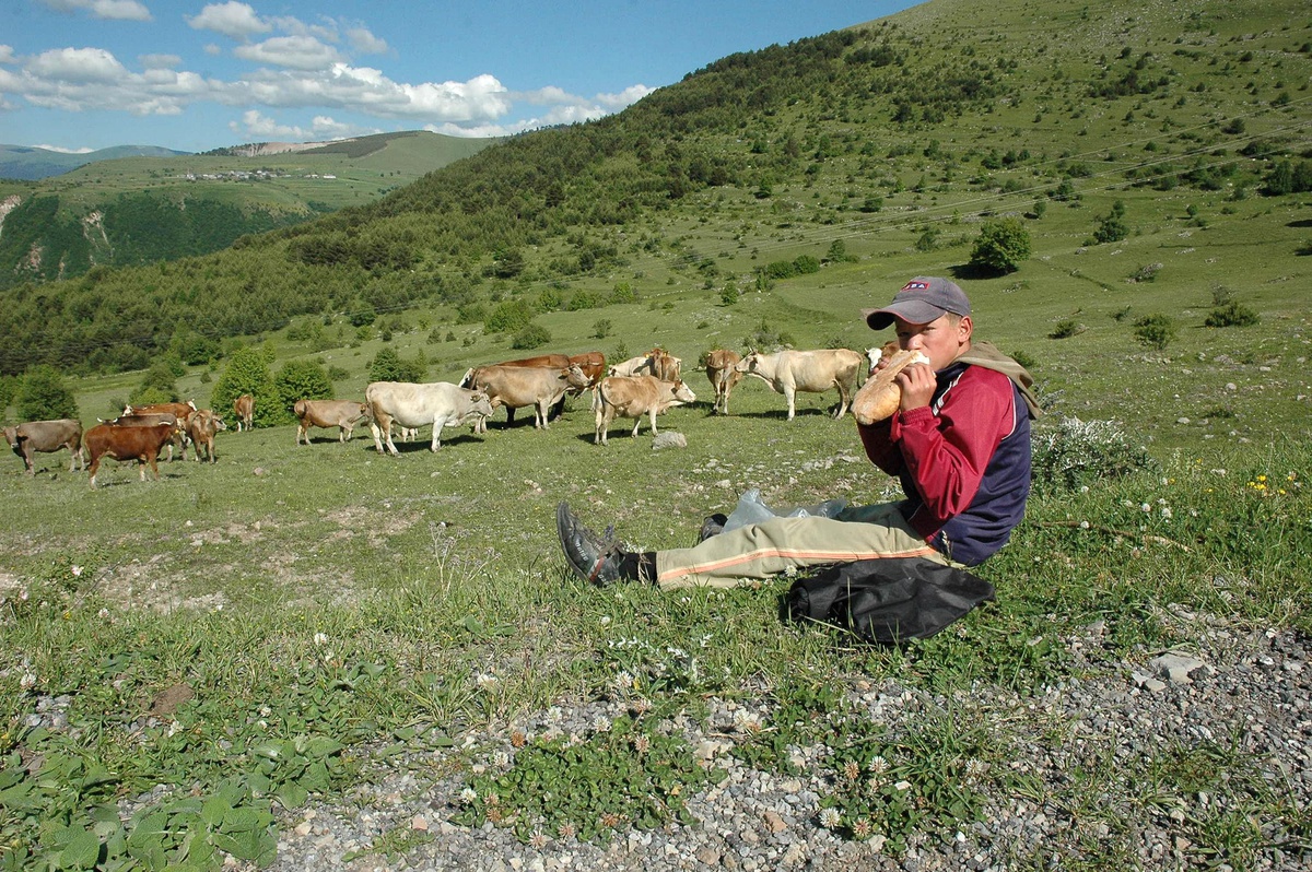 Ardaha'nda Okullar Tatil Olunca Çocuklar Çobanlık Yapıyor
