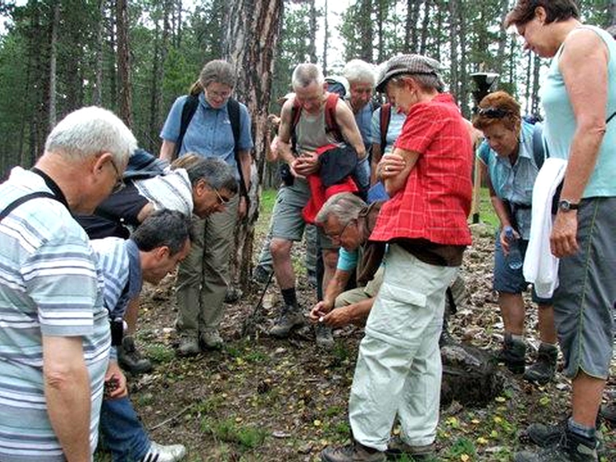 İsviçreli Botanikçi Turistler Boyabat'ta Doğa Yürüyüşü Yaptı