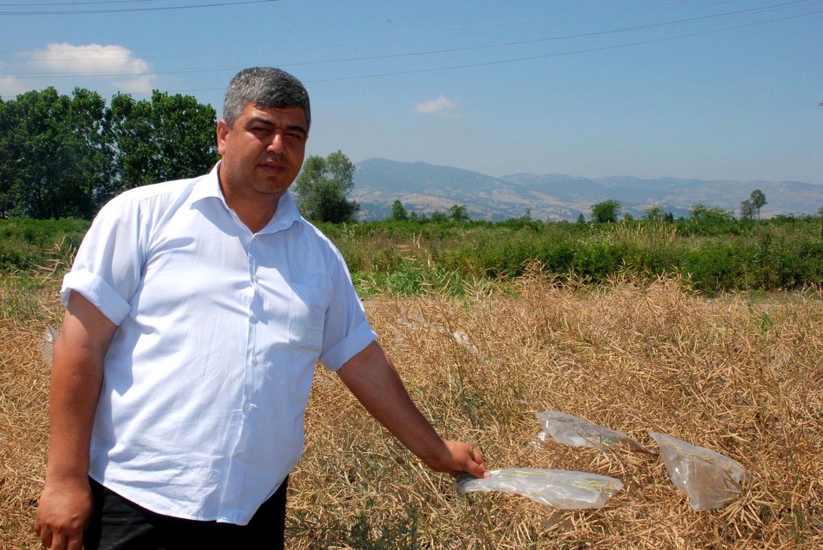 Biyoyakıt İçin 850 Bin Hektarlık Alanda Yağlı Tohum Üretilmesi Gerekiyor