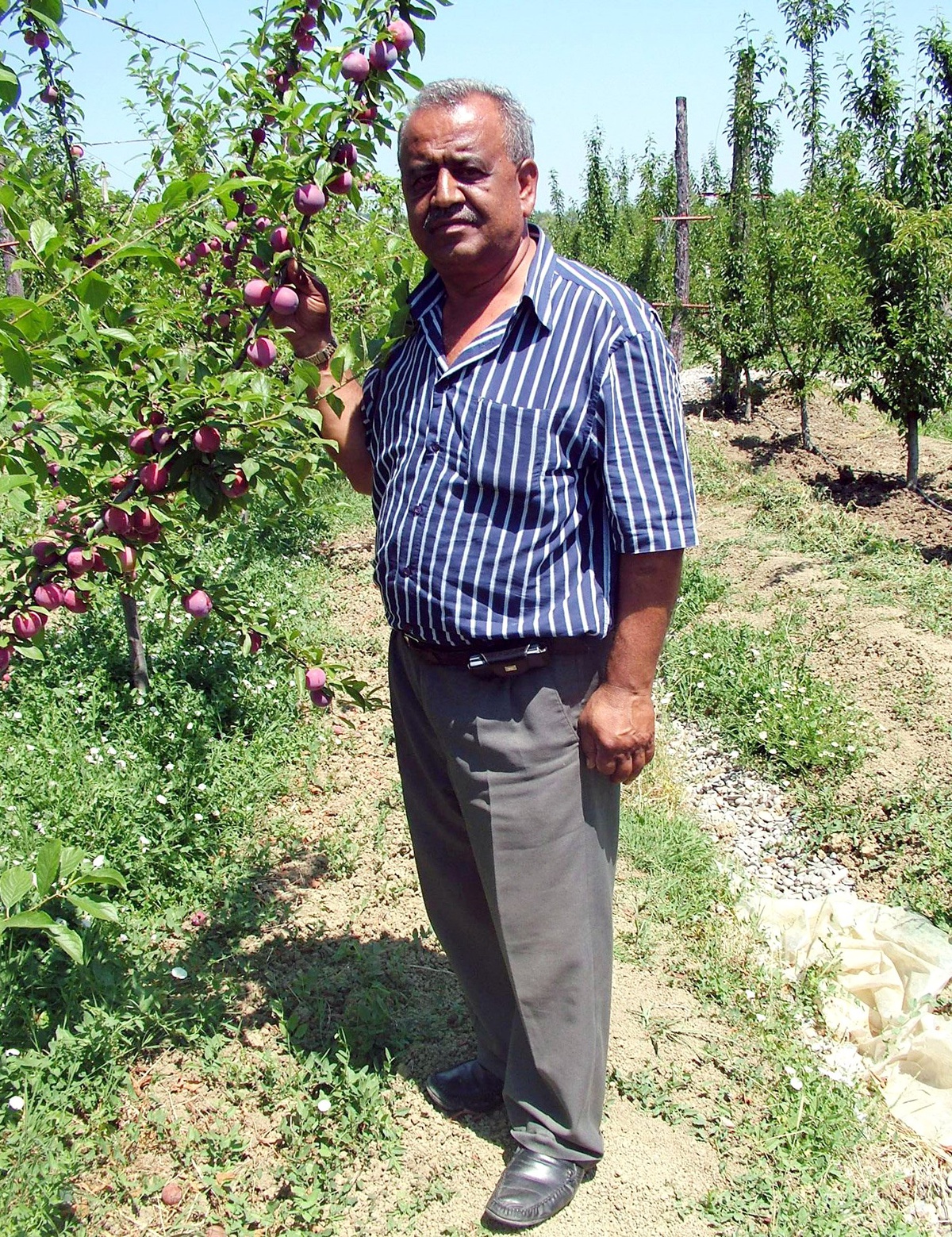 Zonguldaklı Çiftçi Avrupa'ya Açılıyor