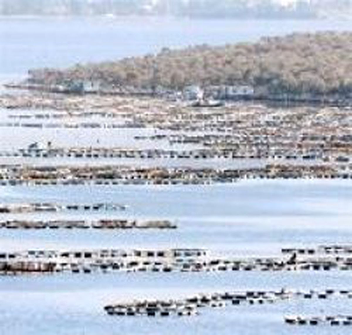 Balık Çiftlikleri Planına Çevreci ve Turizmci Tepkisi