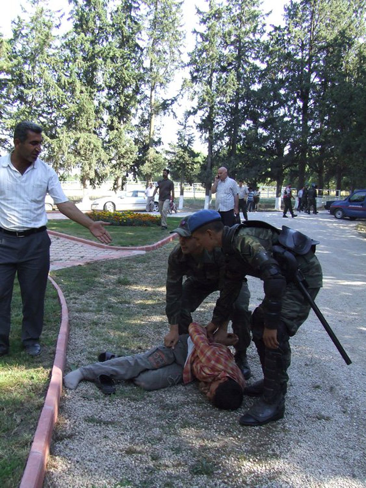 Yarış Atı Müzayedesinde Kavga
