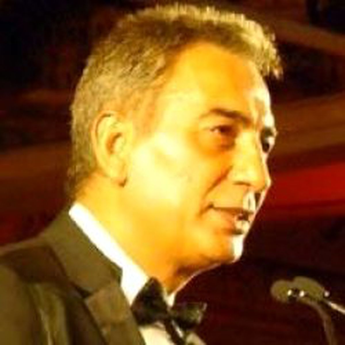 Polat: Tek Büyük Galatasaray