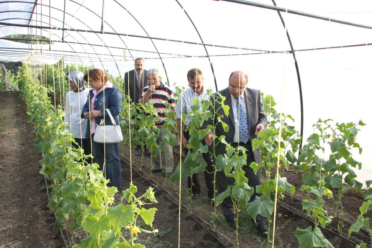 Yozgat'ta Bir Avukat Yetiştirdiği Organik Ürünlerle Çiftçilere Örnek Oluyor