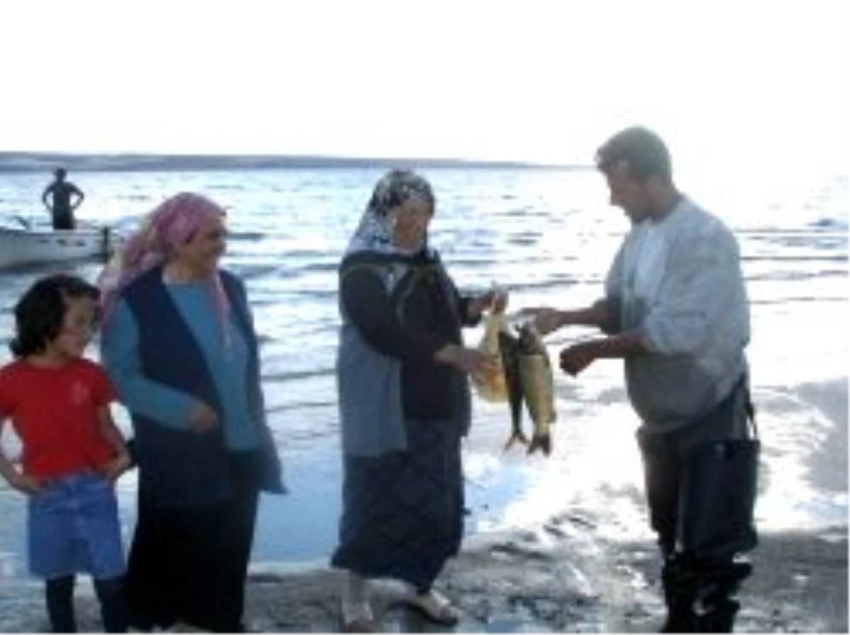 Kırşehir\'de 409 Aile Balıkçılık Yaparak Geçimini Sağlıyor