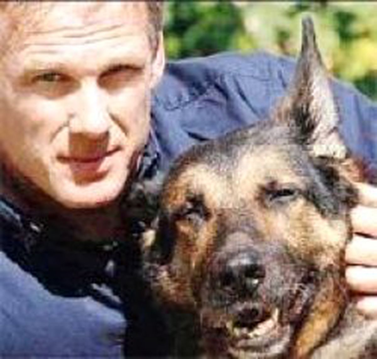 11 Eylül Kahramanı Polis Köpeği Trakr Klonlanacak