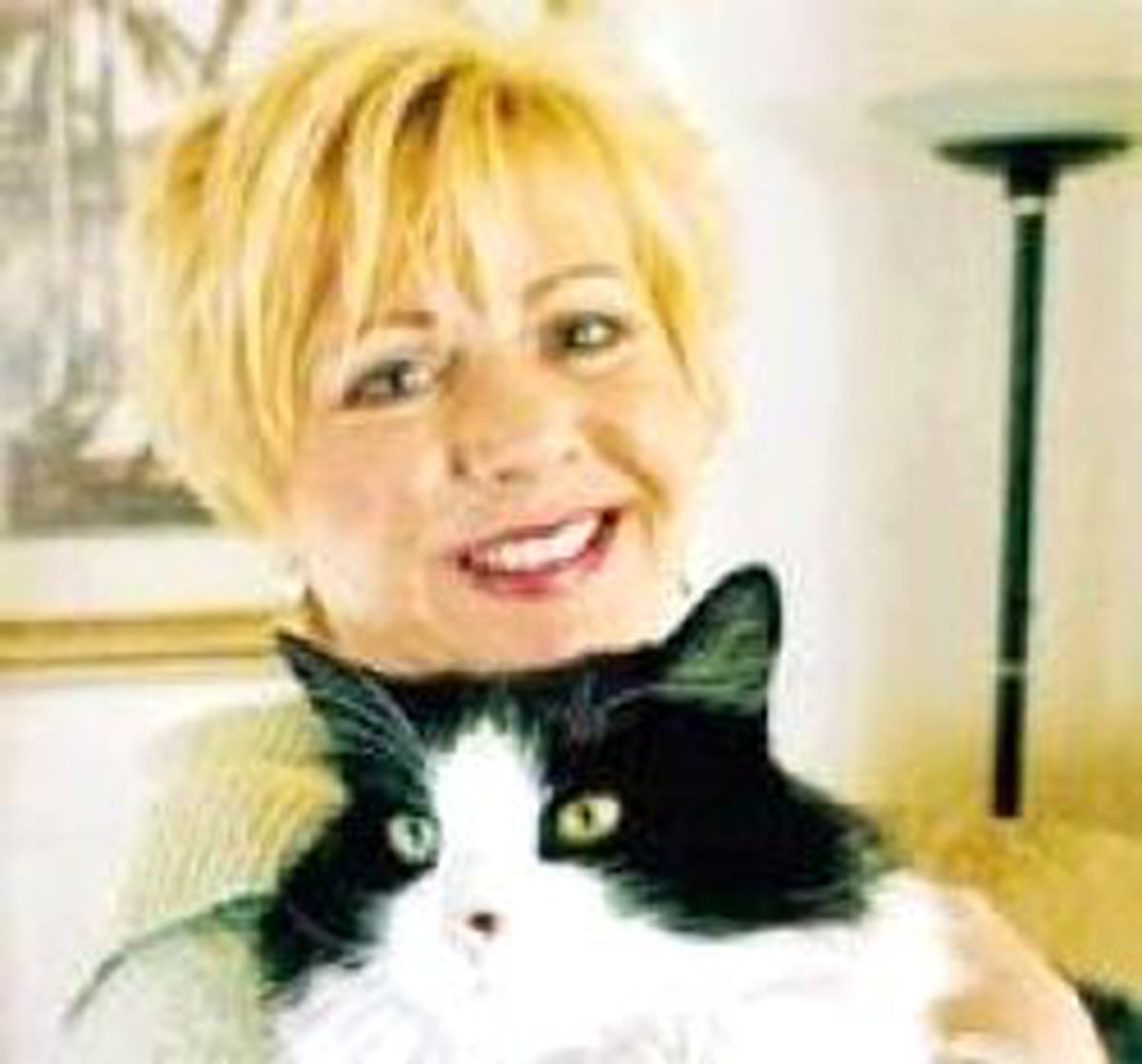 Kötü Kedi Lewis Ev Hapsinden Kurtuldu