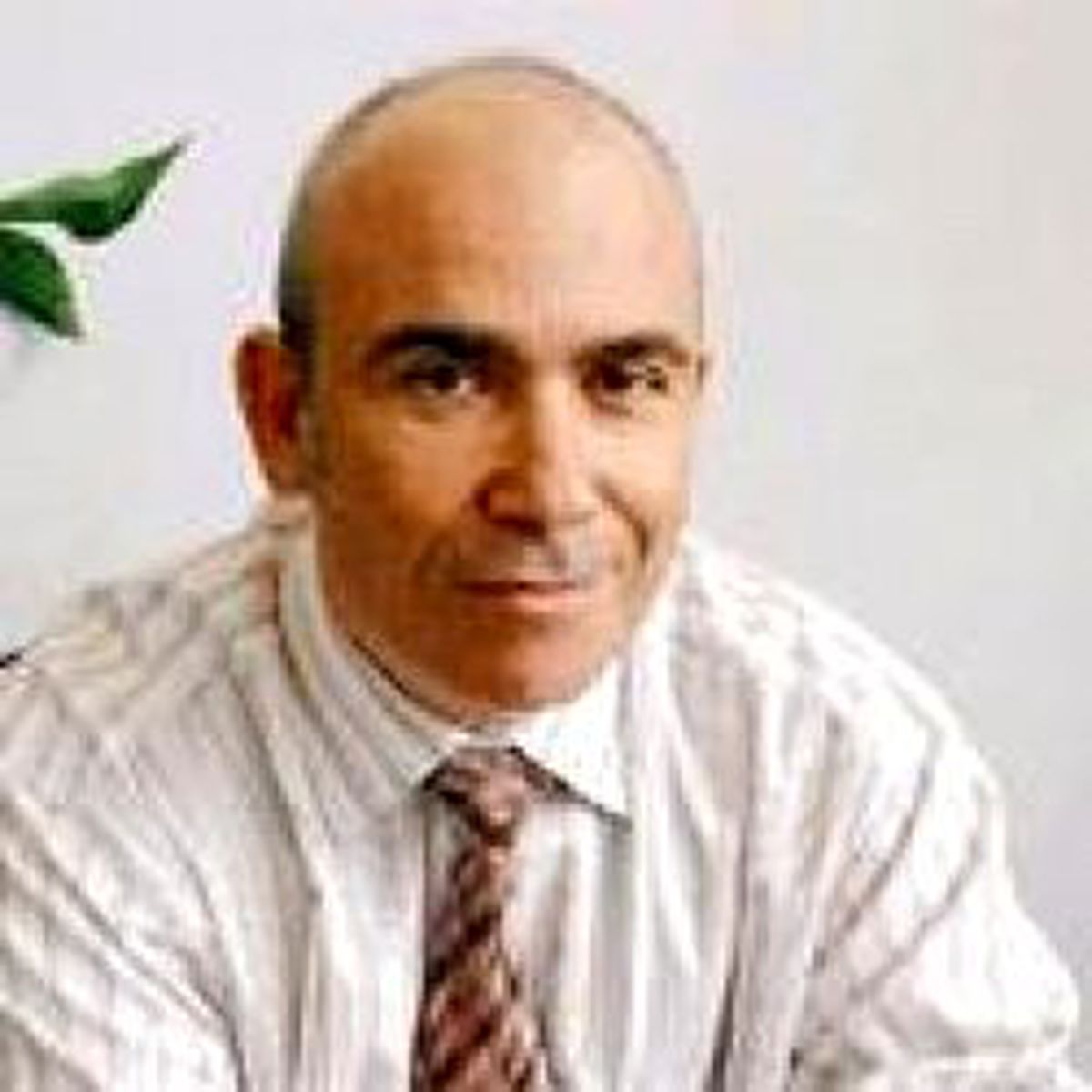 Organ Hırsızlığı Şehir Efsanesi