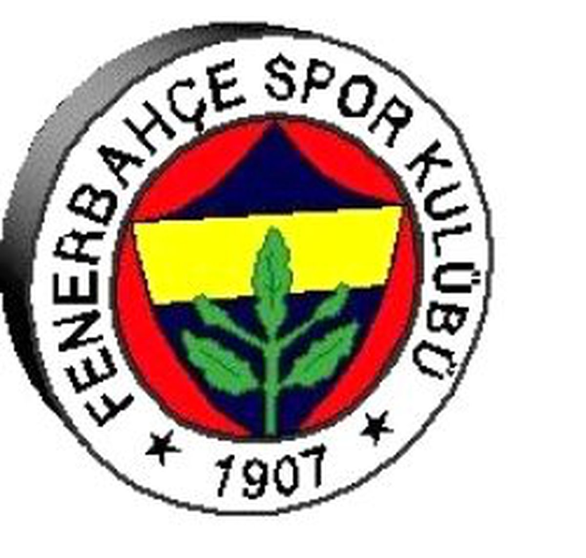 Fenerbahçe İki Günde Yüzde 14 Çakıldı, 266 Milyon Dolar Eridi