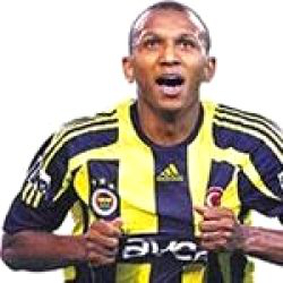 Mehmet Aurelio'nun Fenerbahçe Serüveni