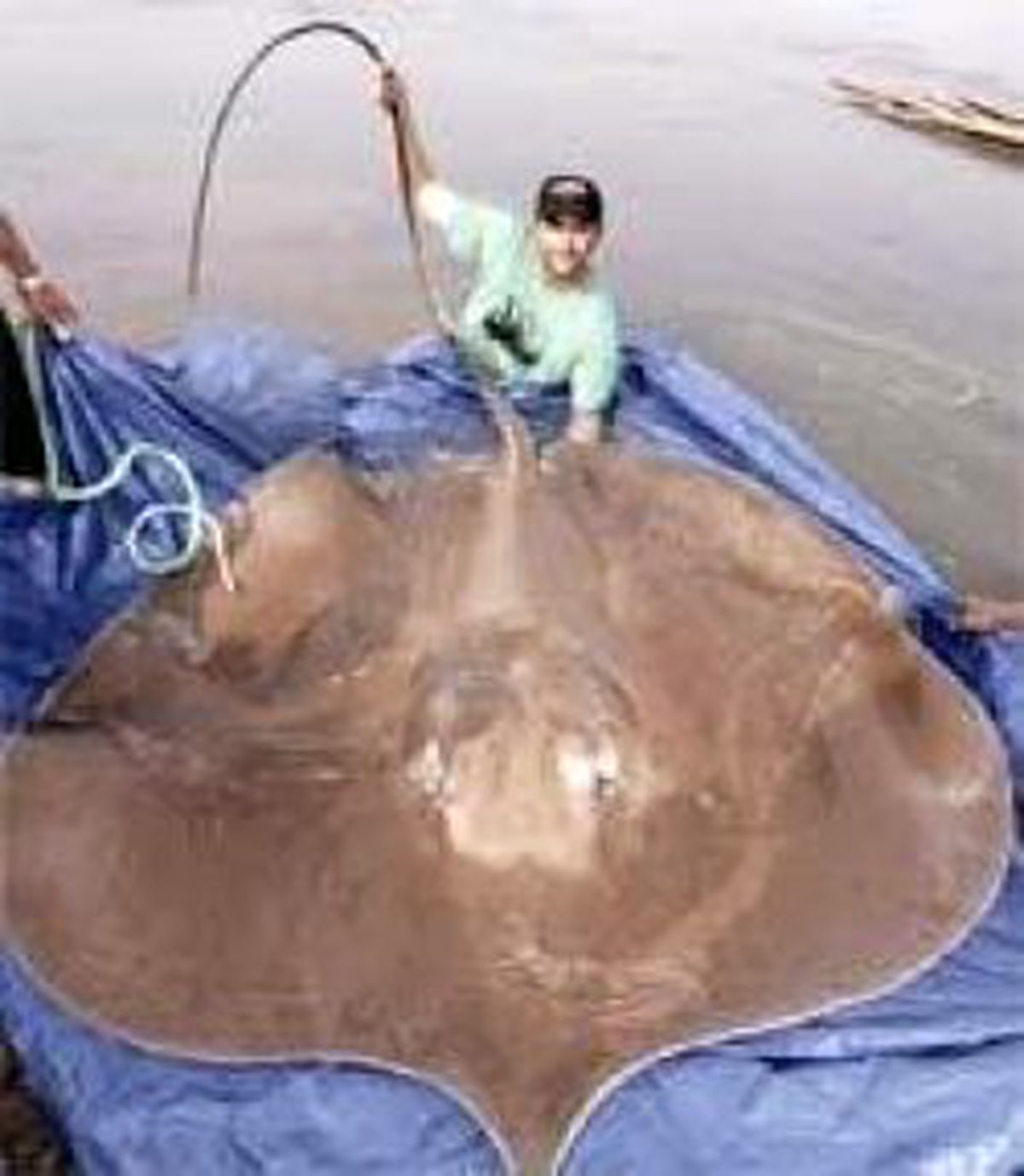 498 Kilo