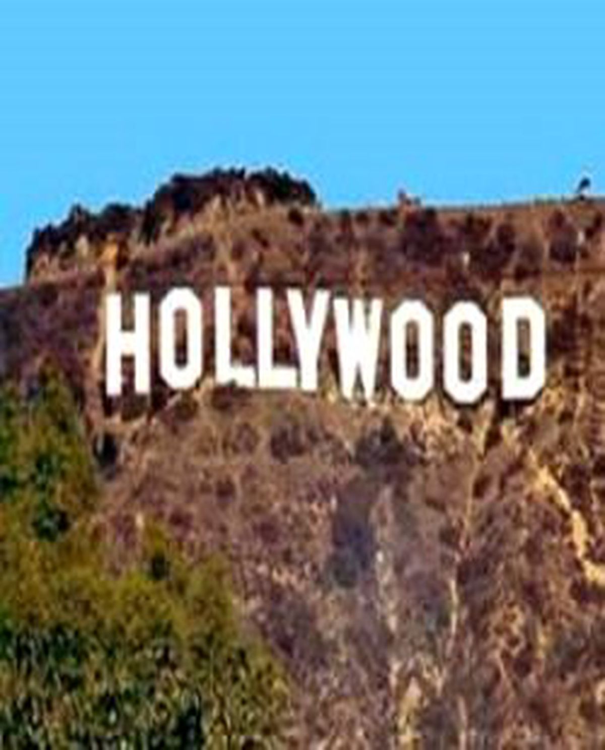 Hollywood Yıldızı Wilson, KKTC'de