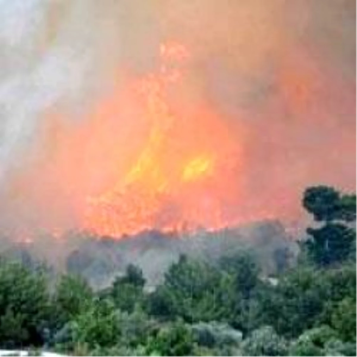 Çanakkale\'deki Orman Yangını Büyüyor