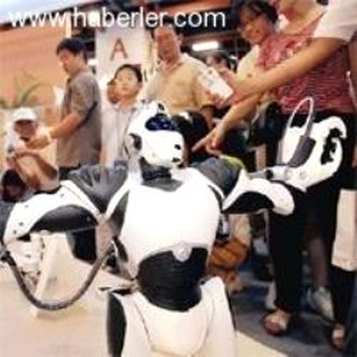 100 Metre Rekortmeni Robot