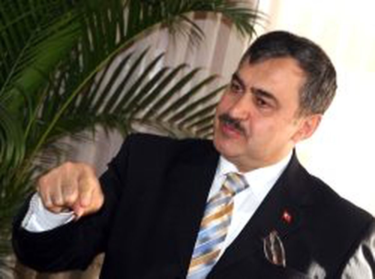 'Yanan Ormanlarda Rant Sağlanmayacak'