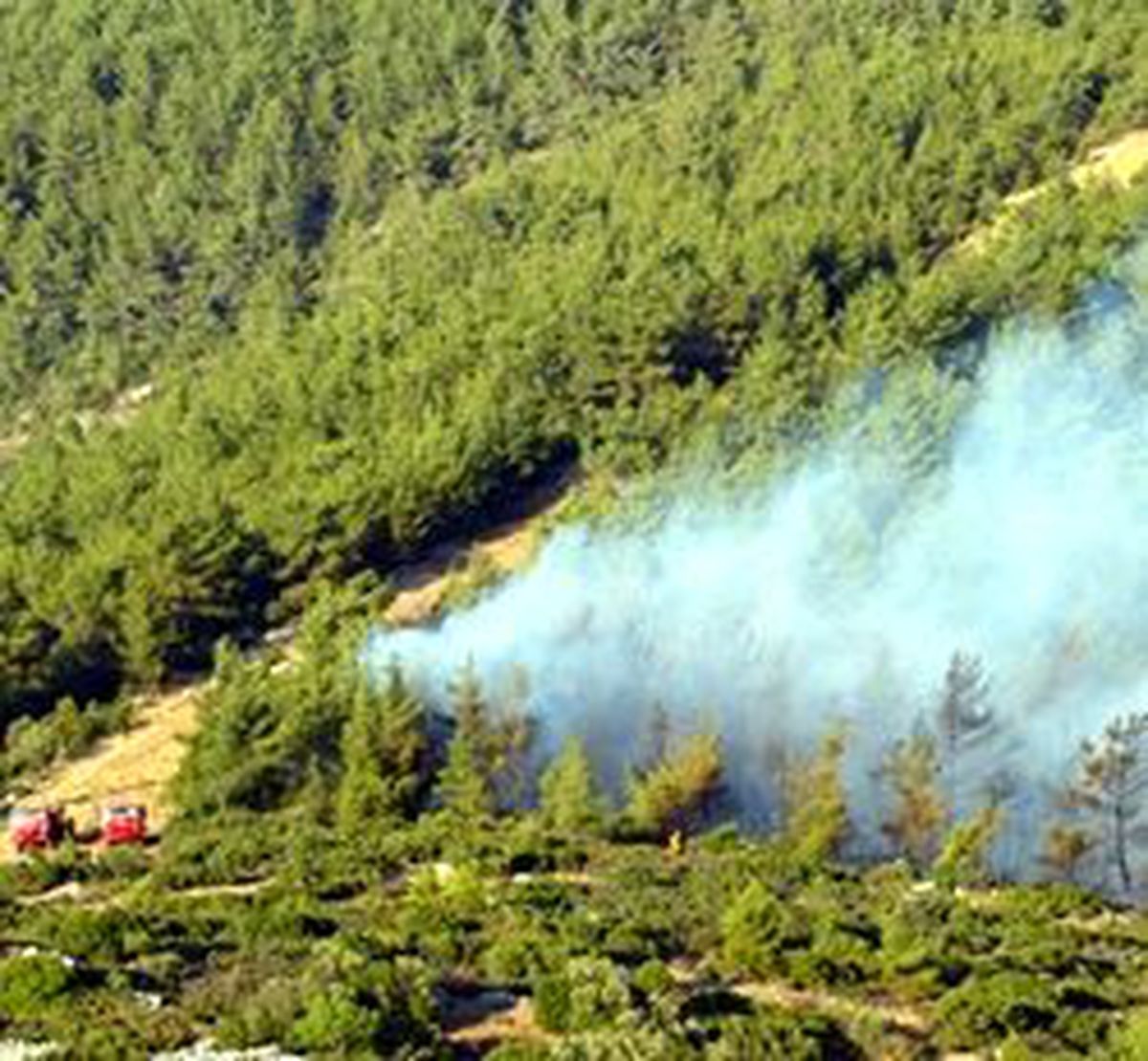 Olimpos'taki Yangının Yayılması Durdu