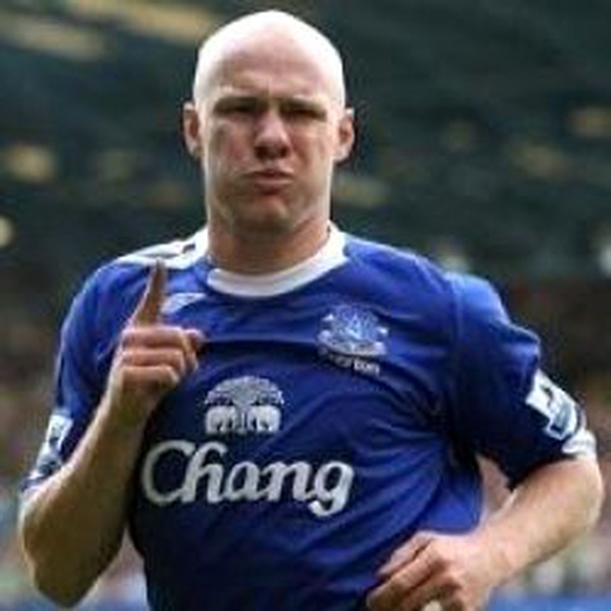 Andy Johnson Fulham'da