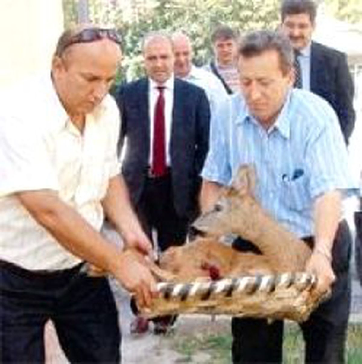 Yaralı Karacaya Polis Sahip Çıktı