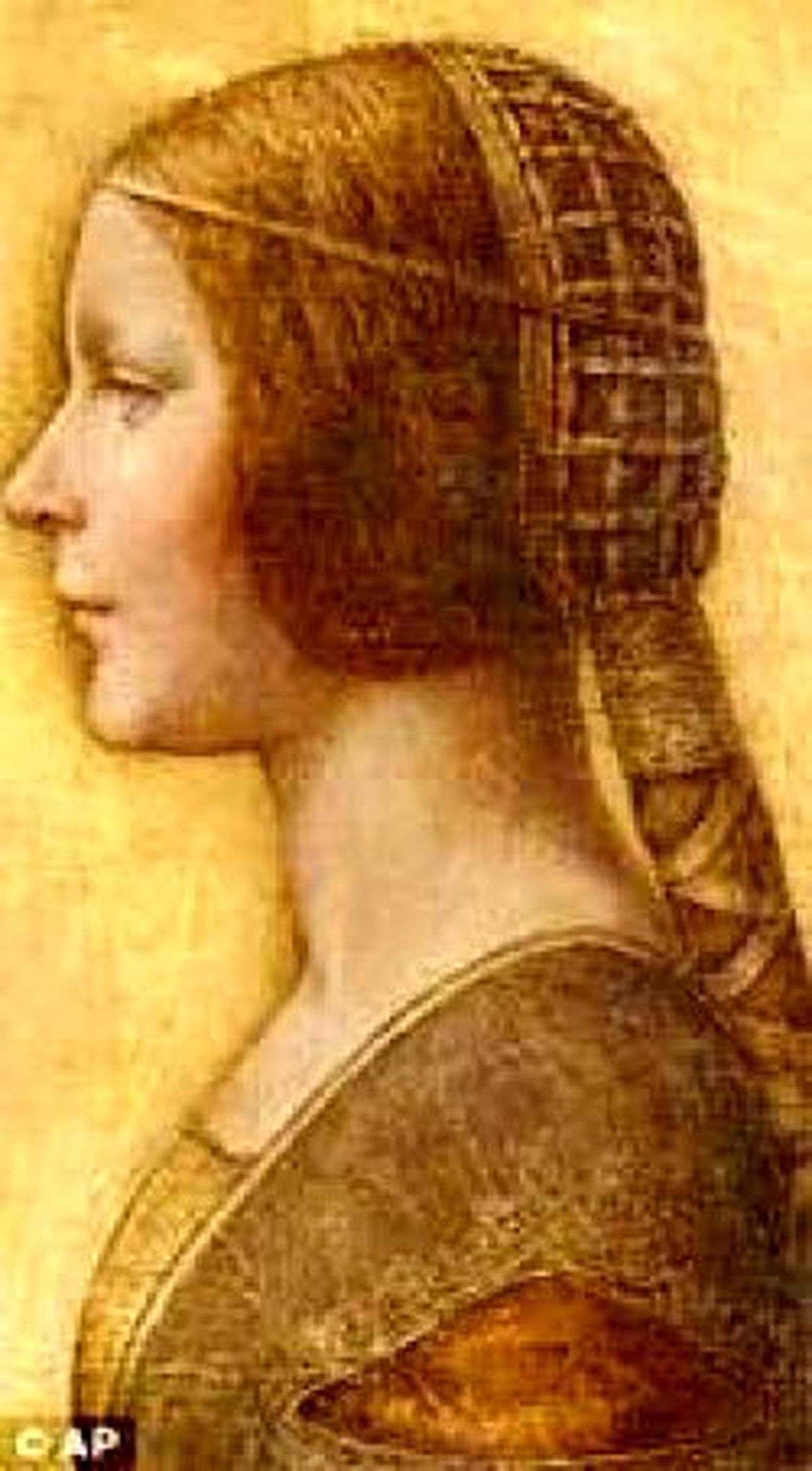 Bu Kadın Portresi da Vinci'ye mi Ait