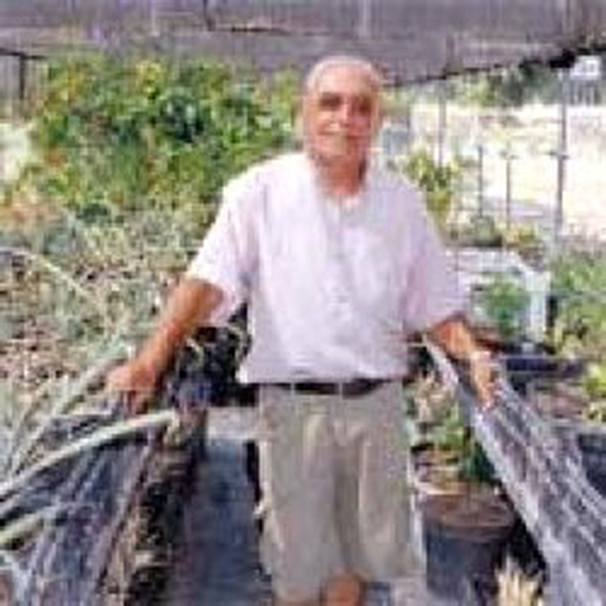 Tropik Ağaçlar İçin Çine'den Toprak