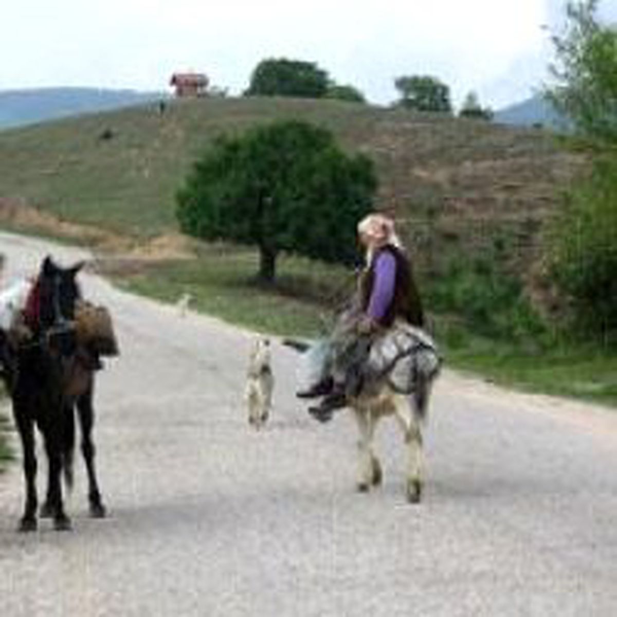 Göçü Engellemek İçin Ücretsiz Arsa Verdiler