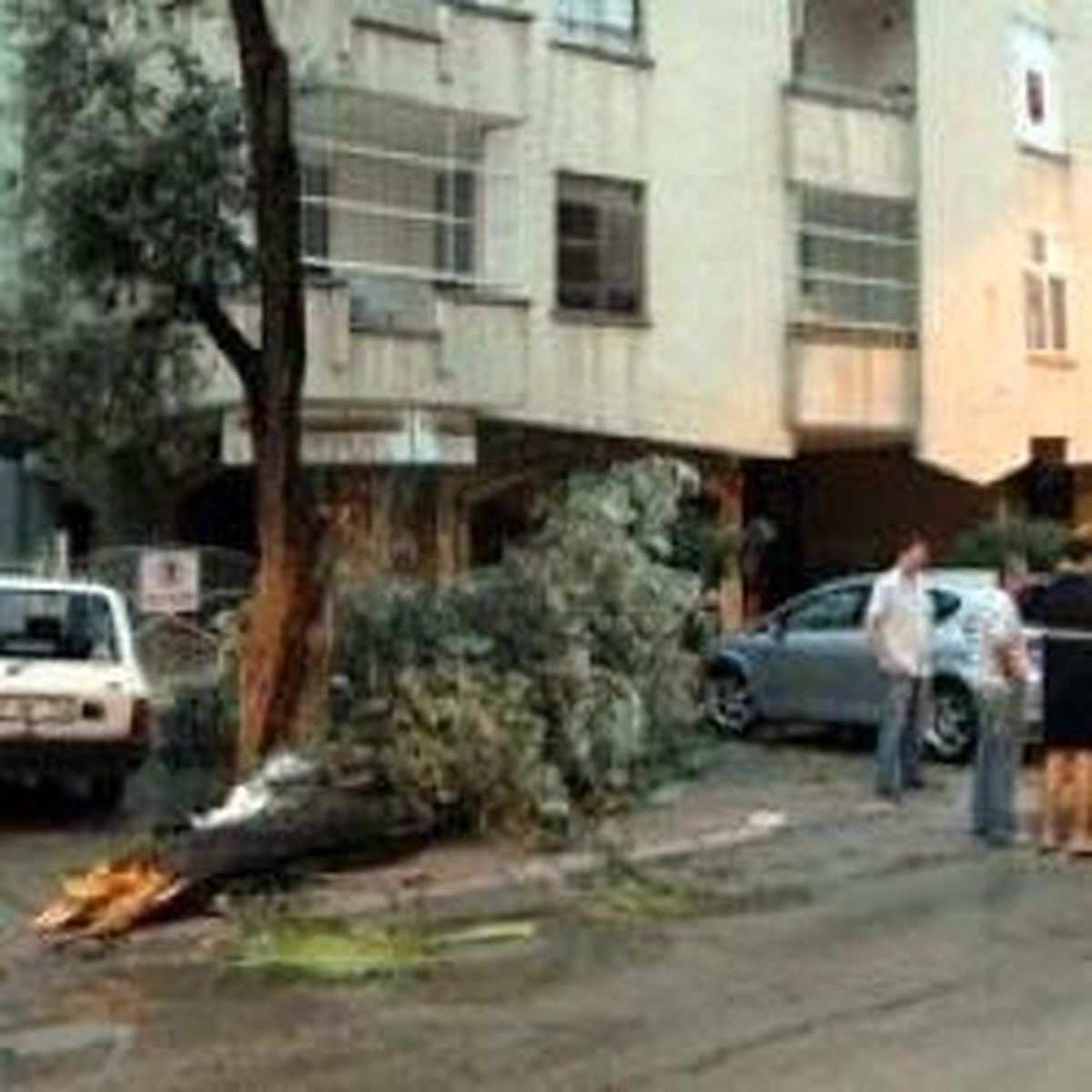 Adana'da Fırtına Duvar Yıktı: 1 Ölü