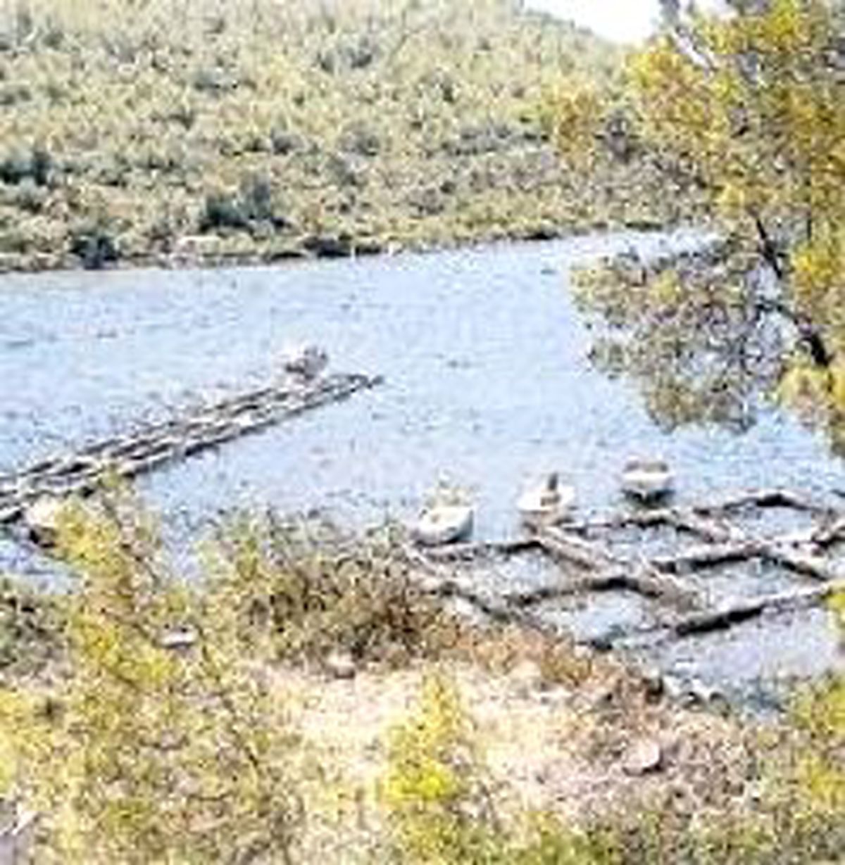 Günay, Balık Çiftliğine Karşı