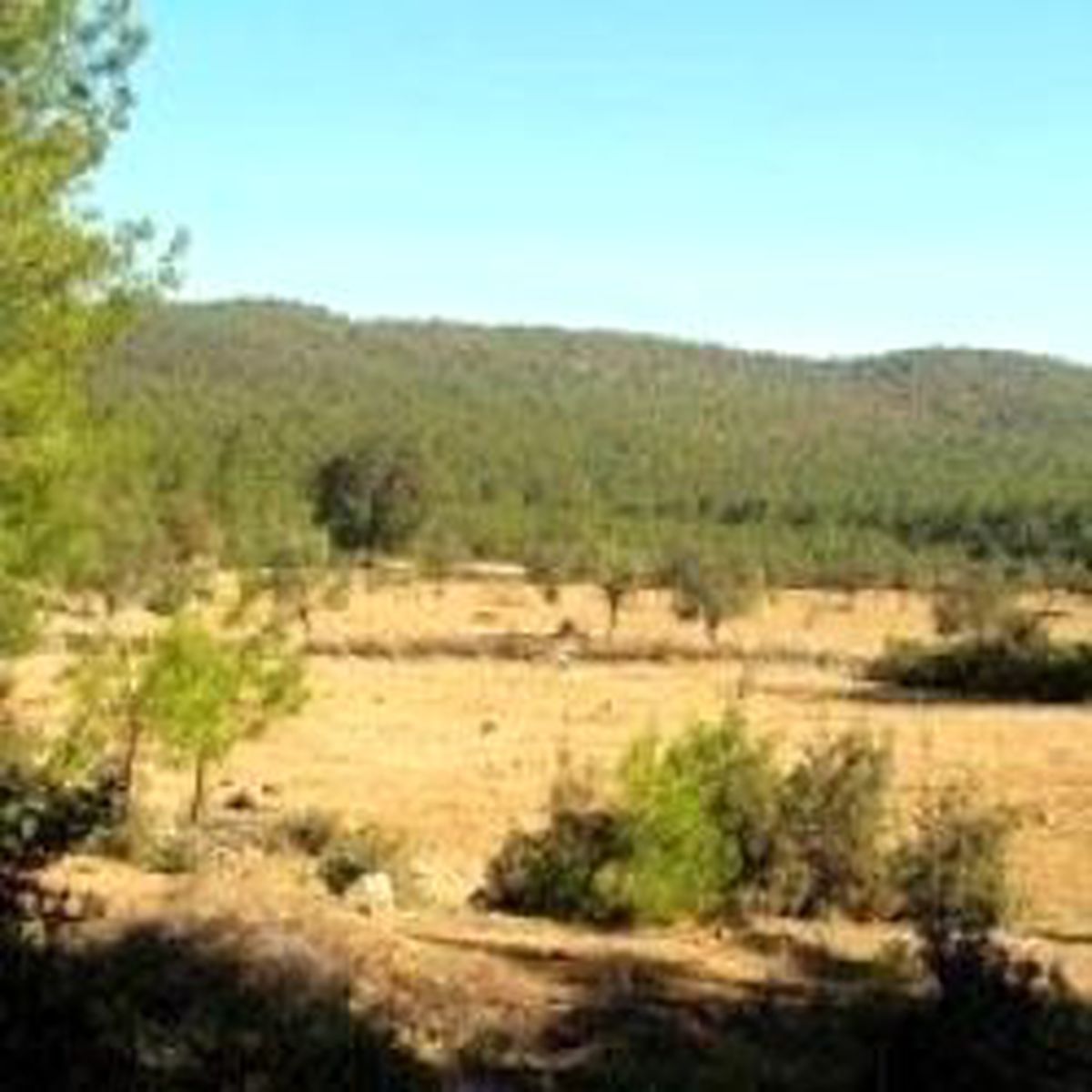 Bodrum'da Golf Sahalarına Danıştay Freni