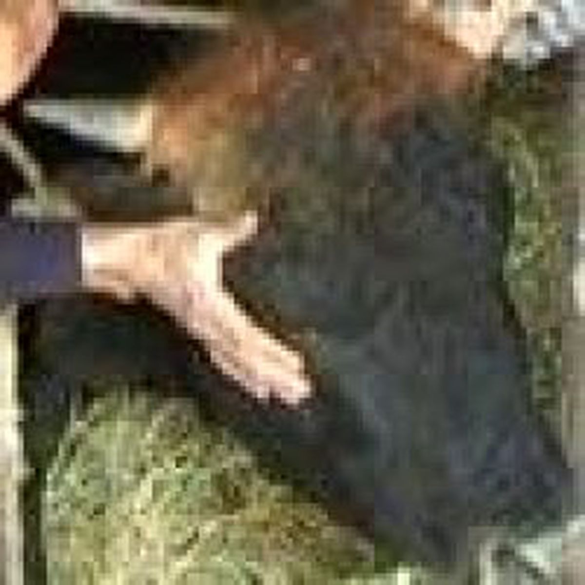 Çöp Evdeki İneği Çıkaramadılar