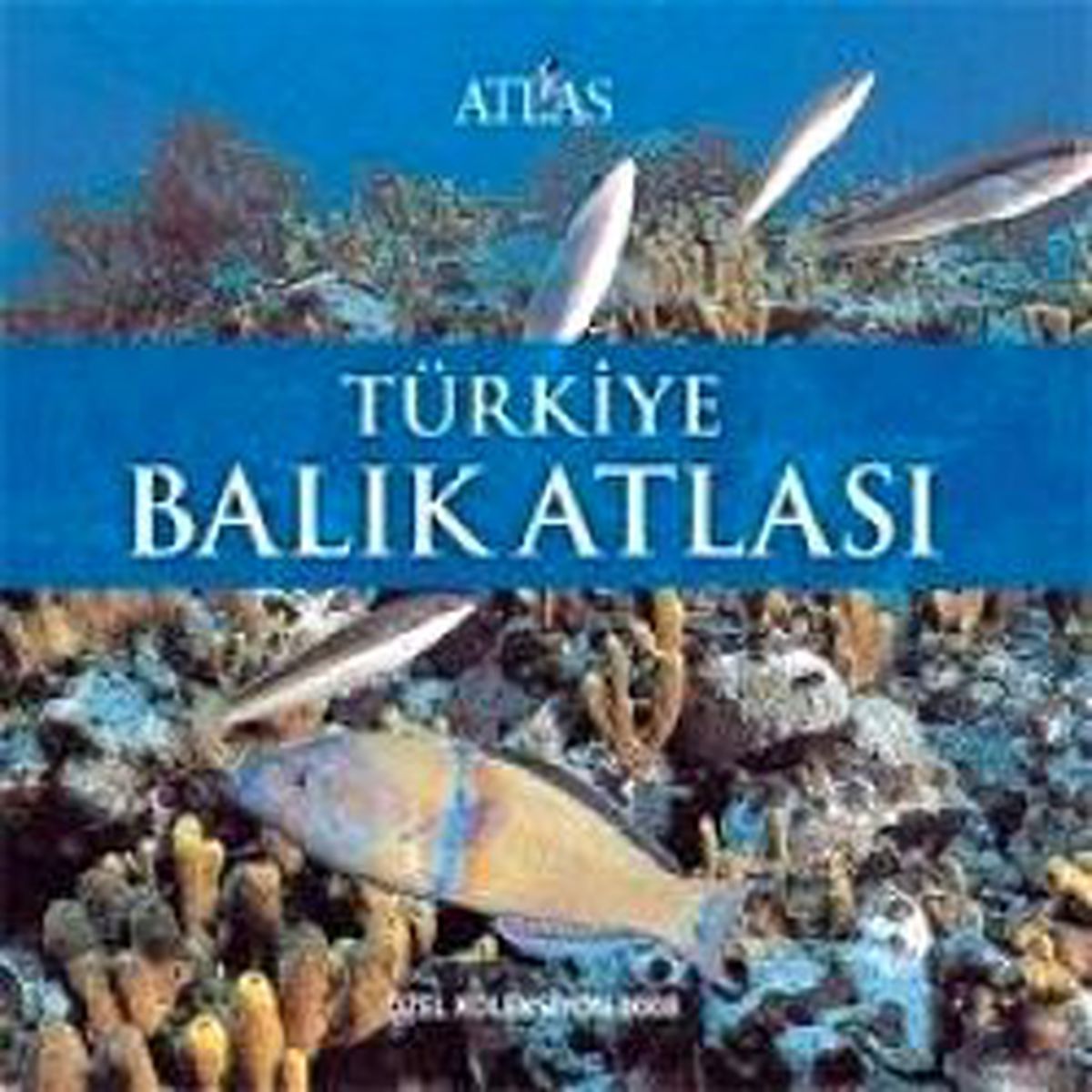 Koleksiyonluk Kitapçık