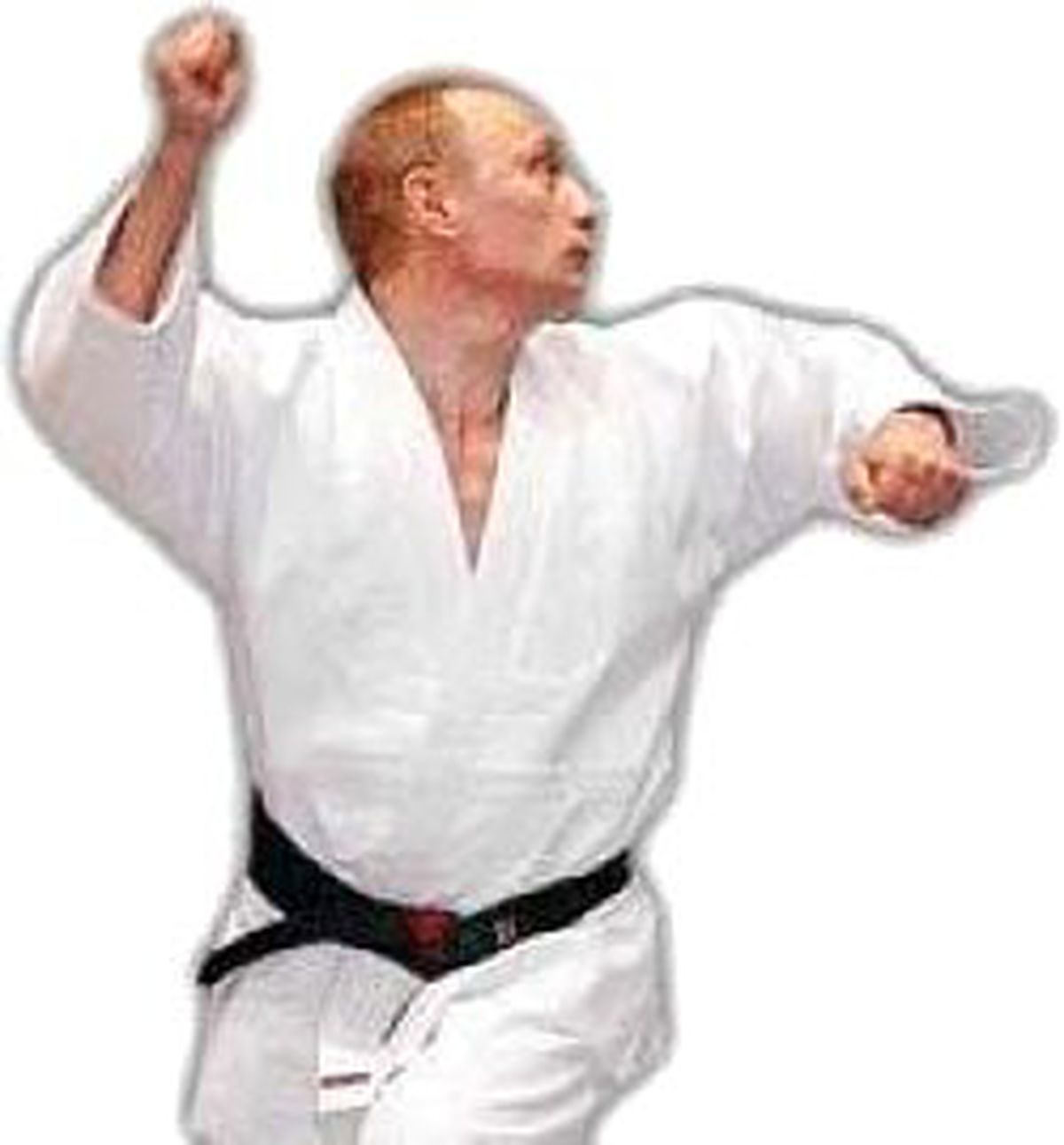 Judocu Putin, Sarko'yu Mindere Davet Etti