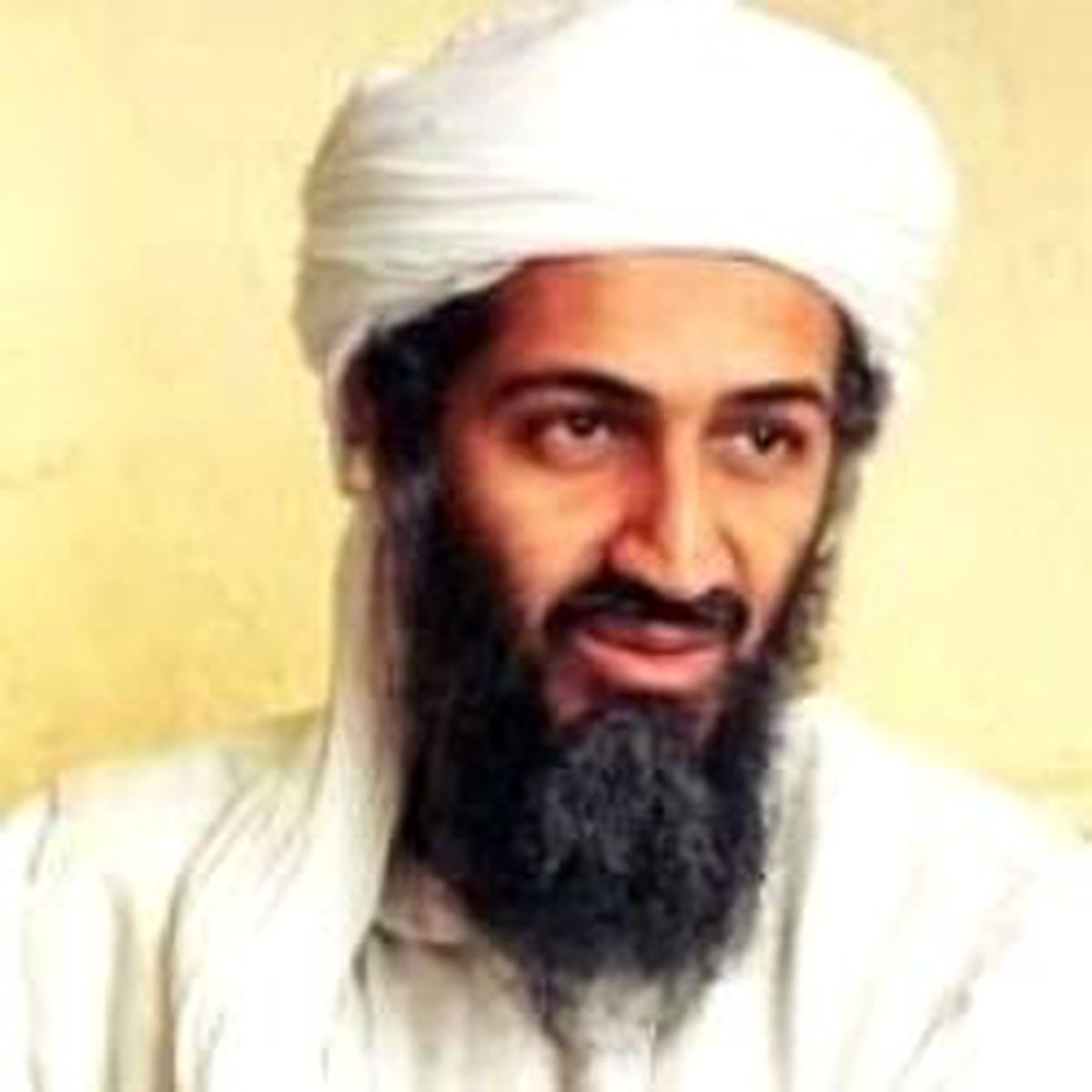 Türkler Bin Ladin'i Hiç Sevmiyor