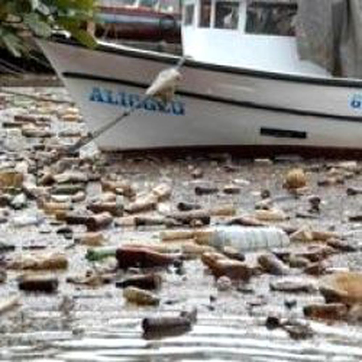 Zonguldak Limanı Değil Çöplüğü