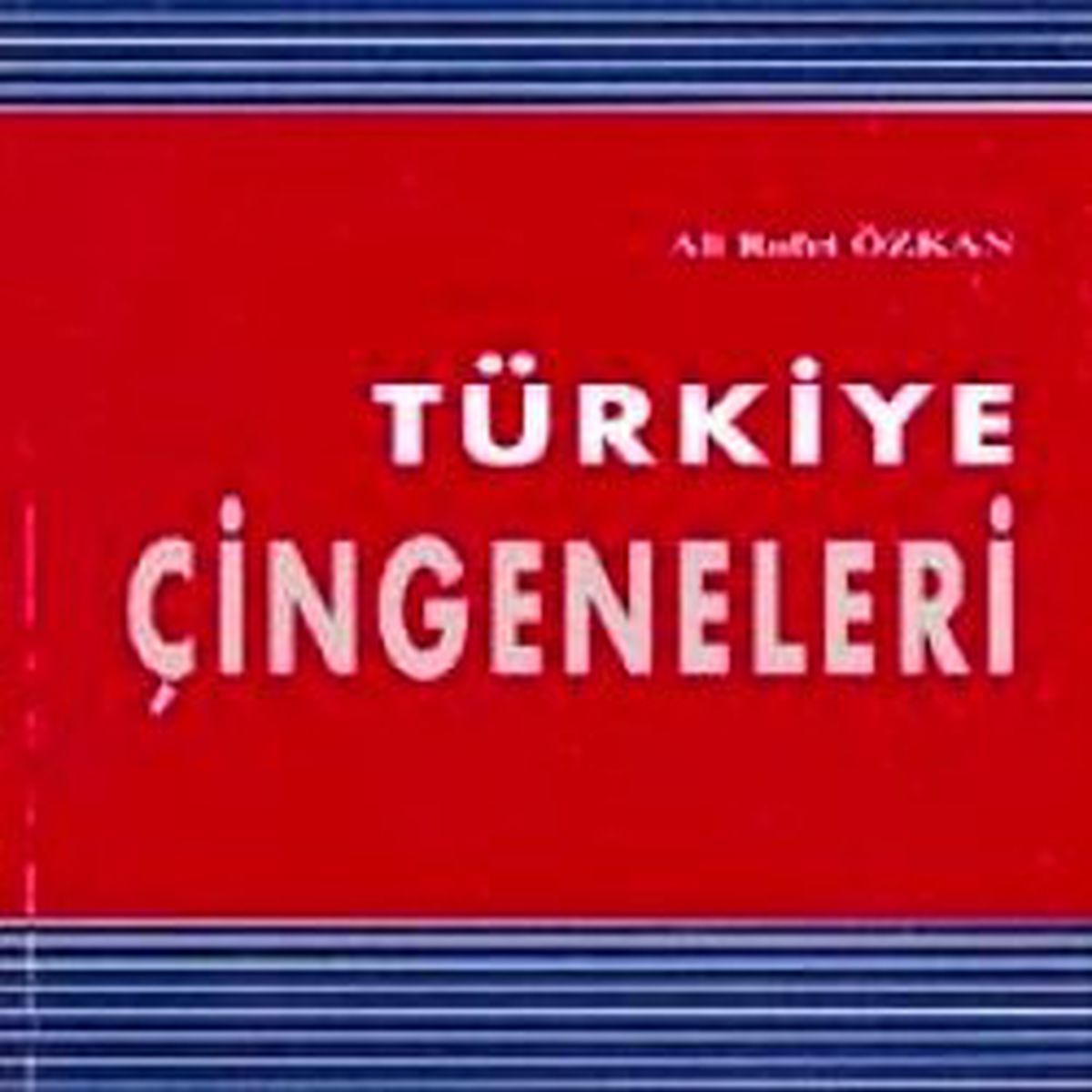 Türkiye 'Çingene' Savunması Verecek