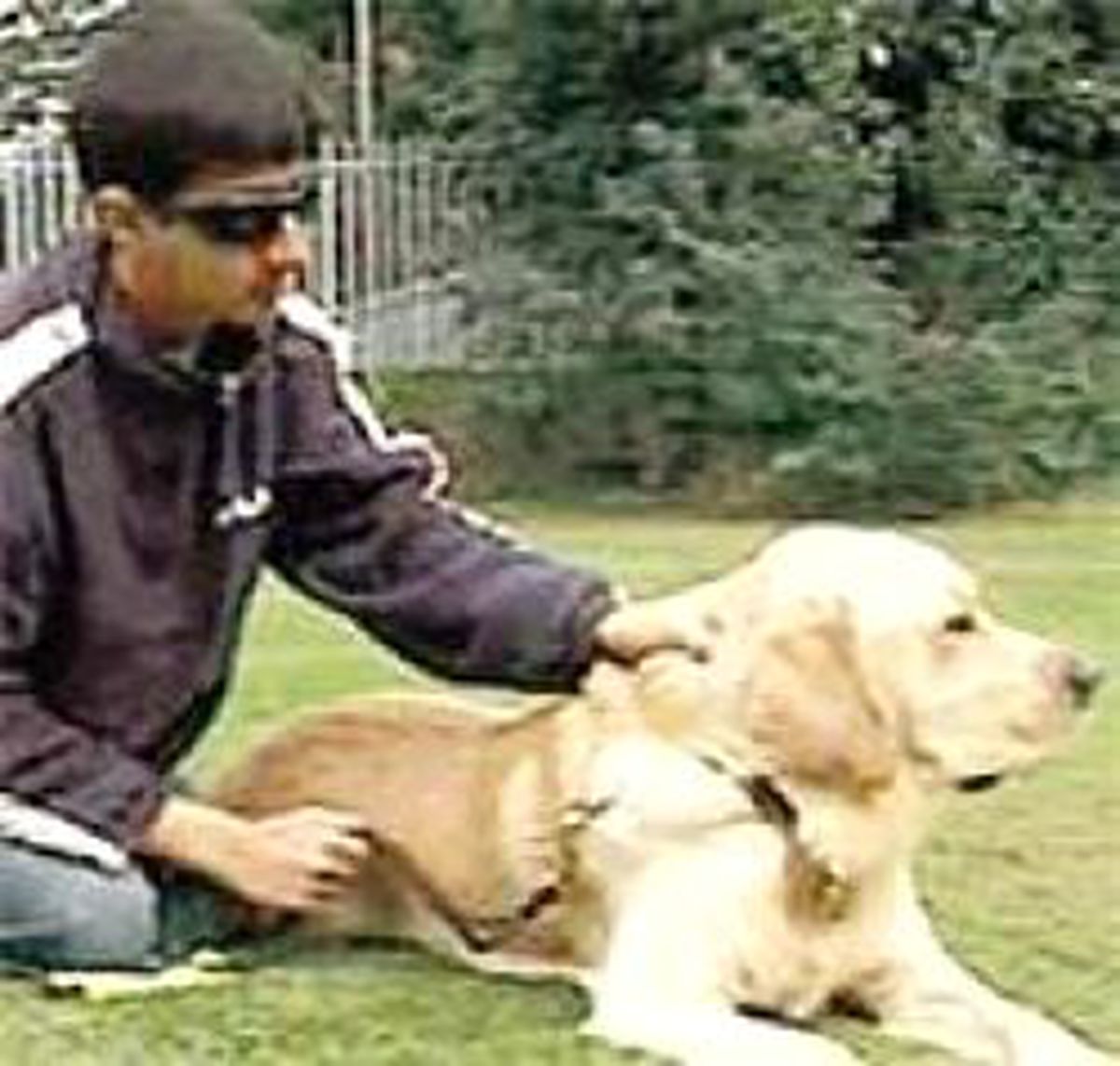 Köpeğe Cami İzni