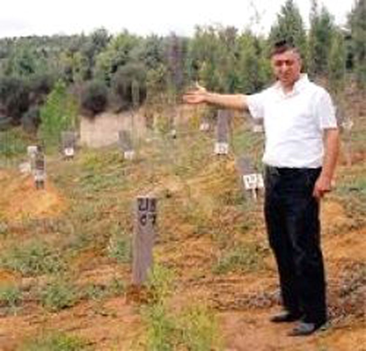 Cesedi Yakılamayan Budist, Kimsesizler Mezarlığına Gömüldü