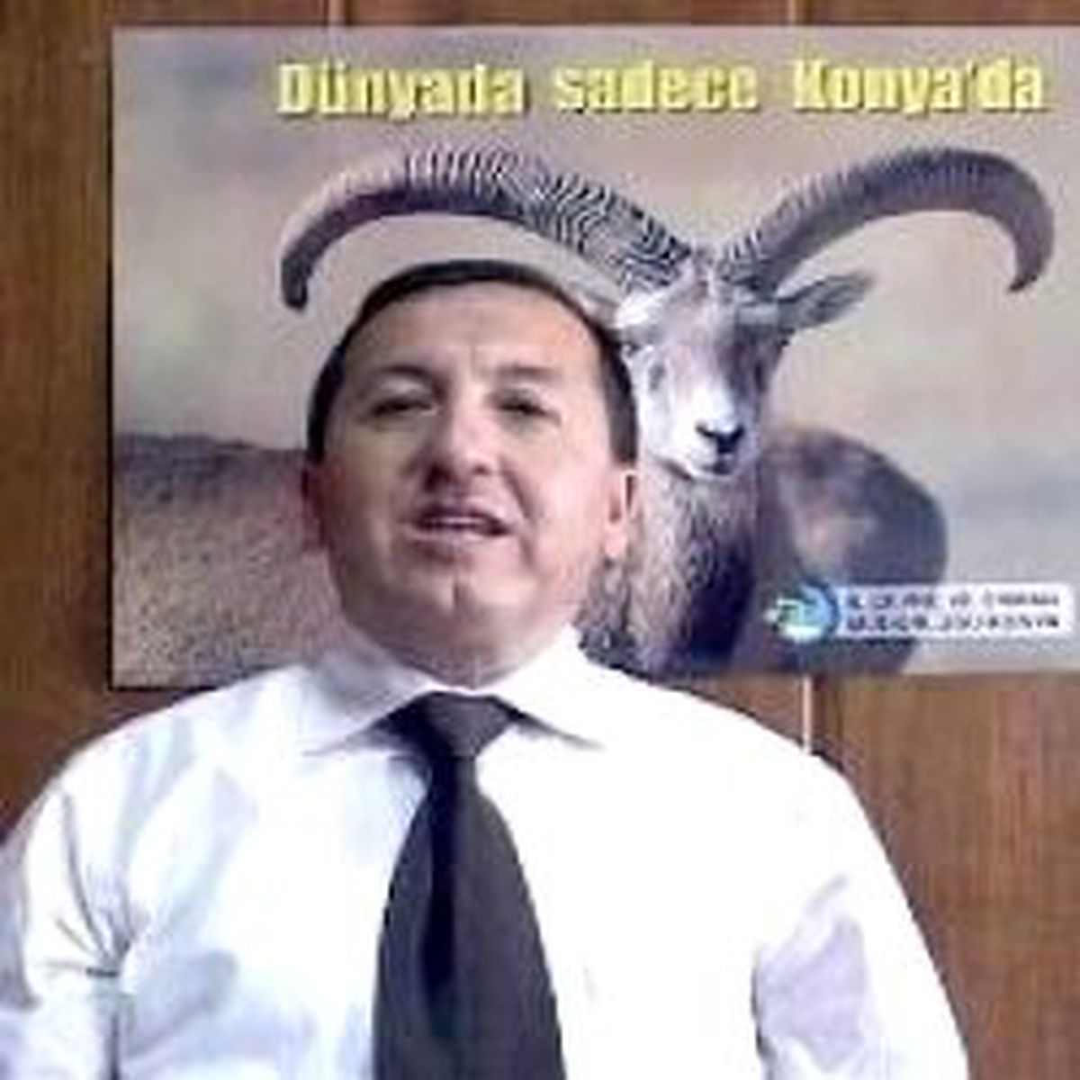 40 Bin YTL'ye Yaban Koyunu Vuracaklar
