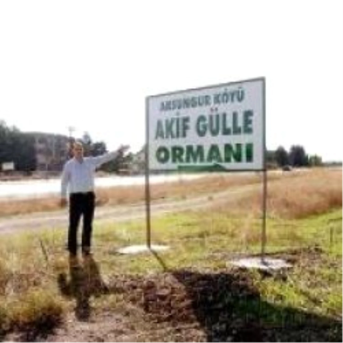 6 Köyün Ormanına AKP\'li Akif Gülle\'nin Adı Verildi