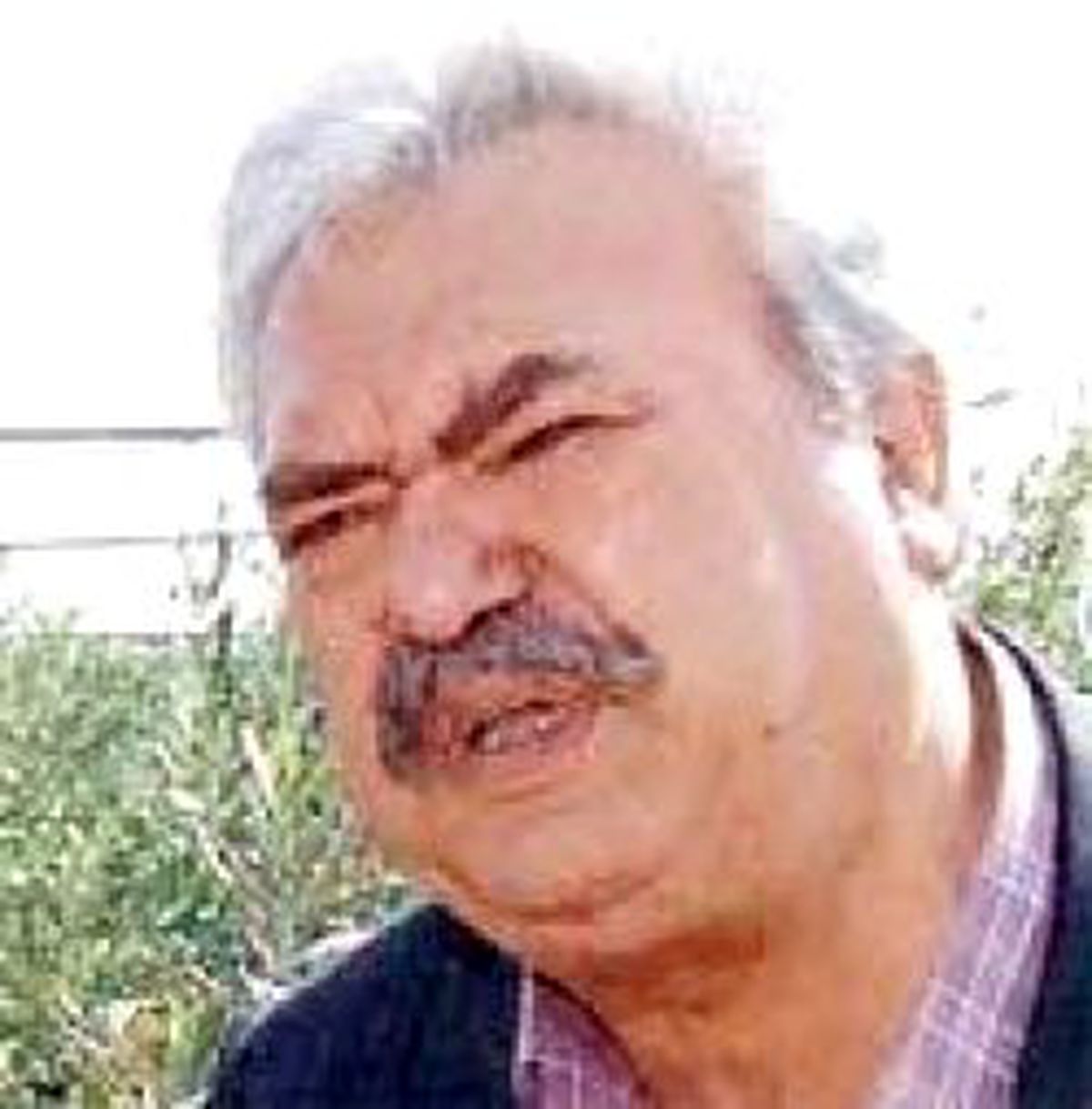 Romanya'da Meyve Fidanı Yetiştirip AB'ye Satacak