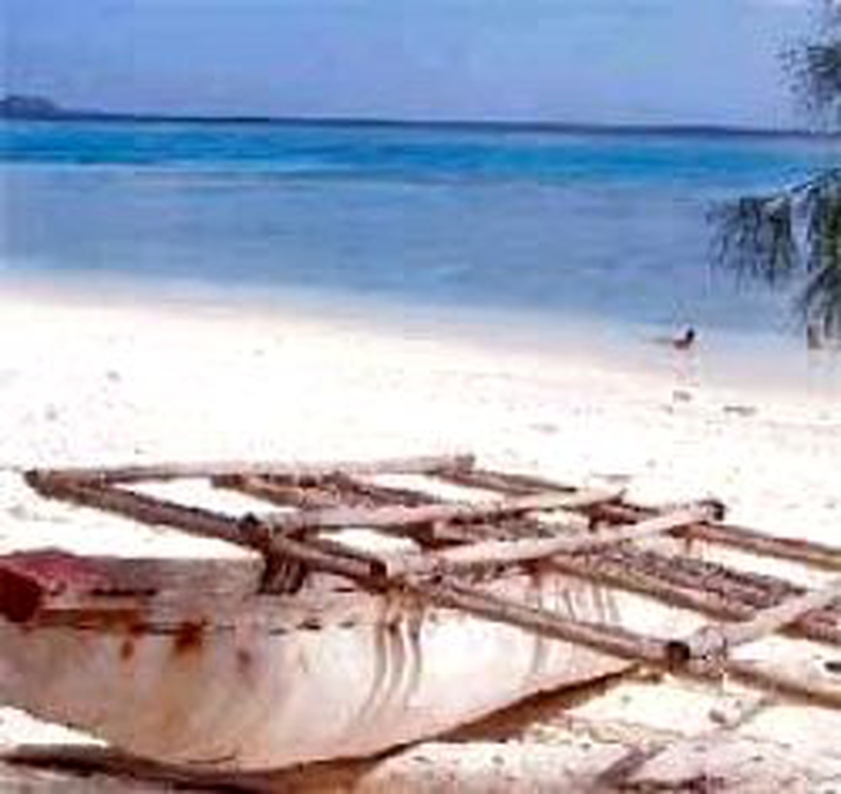 Türkler Kartla Vanuatu'ya Kadar Uzandı