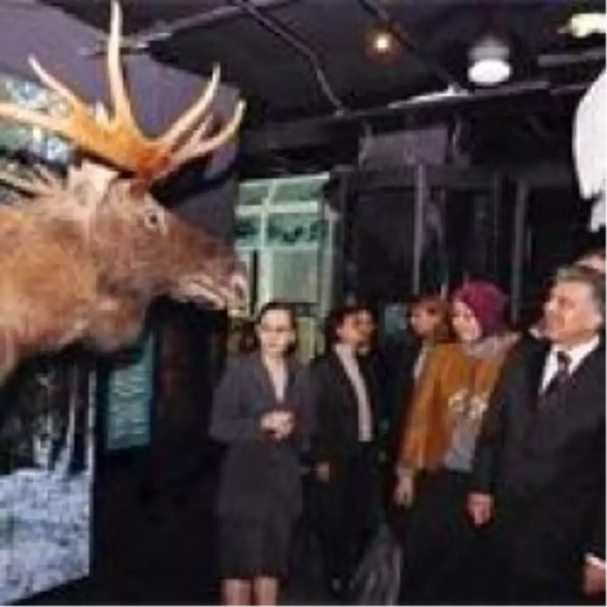 Doğa ve Bilim Turu