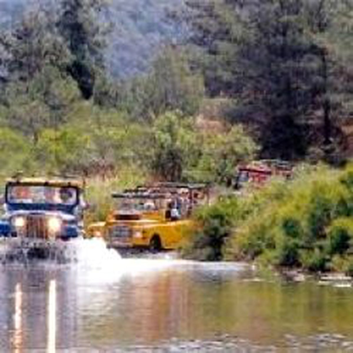 Yasaklayın