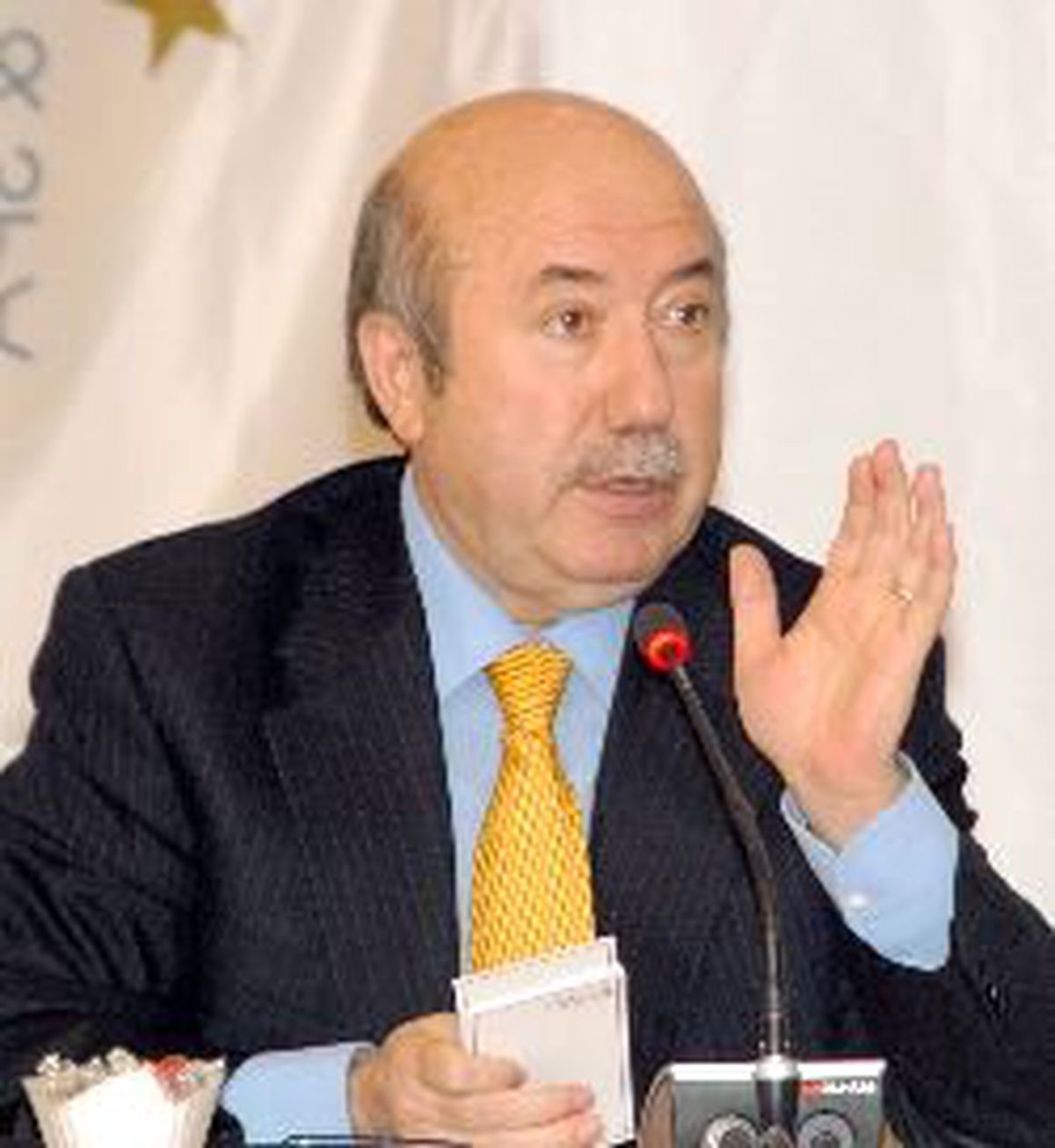 2009 Bütçesi IMF'nin Büyütecinde